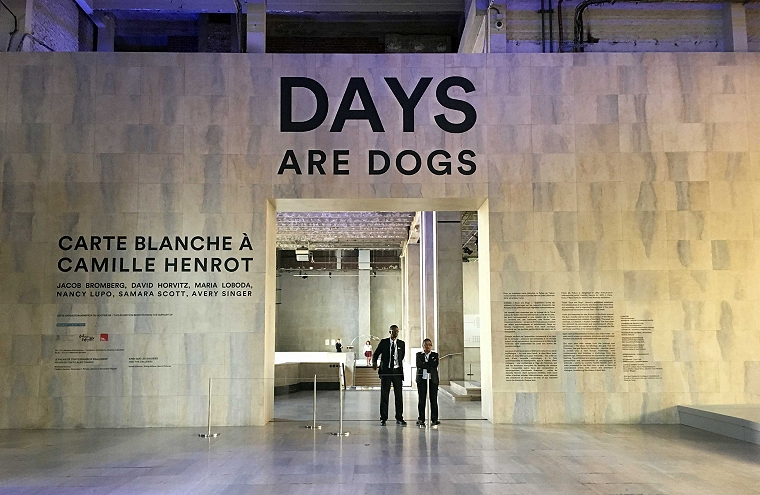 Carte Blanche- Camille Henrot : Days are Dogs